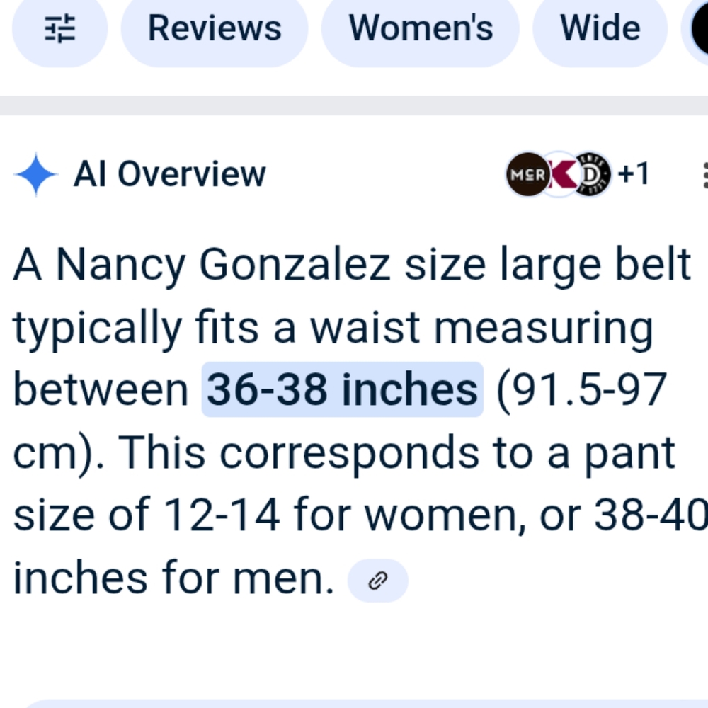Nancy Gonzalez Black Crocodile Belt Square Buckle Size Large - Picture 14 of 14